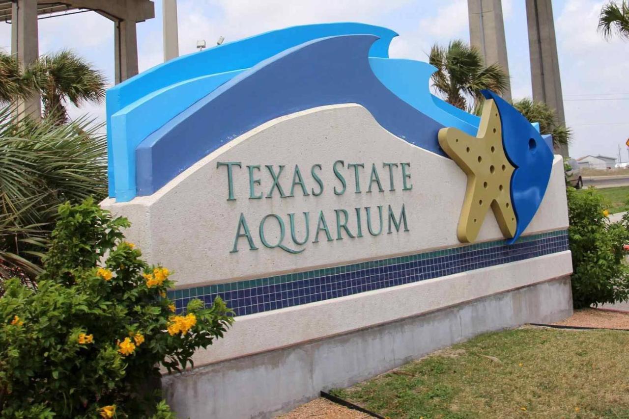 Affordable Family Condo -Walking Distance To Beach By Mustang Island, Sleeps Four, 2025 Traveler Award Corpus Christi Exterior foto